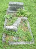 image of grave number 166115